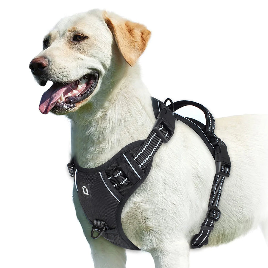 Control Grip No-Pull Dog Harness