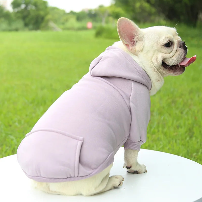 PawComfort™ Hoodie